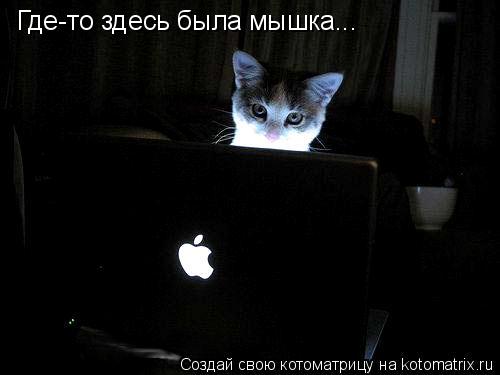 Где-то здесь была мышка...... Котоматрица: Где-то здесь была мышка...