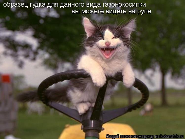 образец гудка для данного вида газонокосилки вы можете видеть на руле... Котоматрица: образец гудка для данного вида газонокосилки вы можете видеть на руле