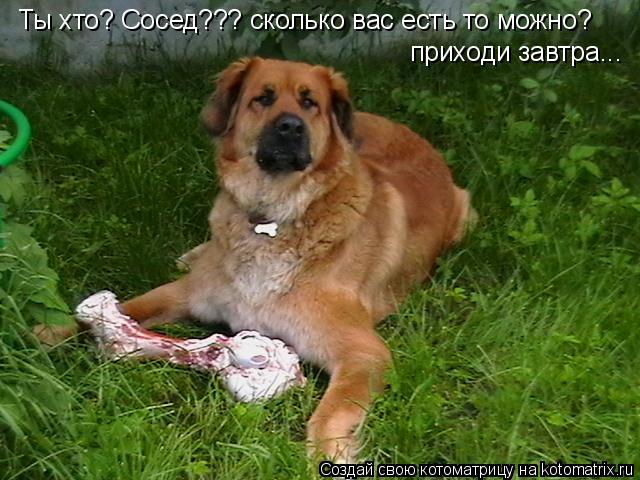 Ты хто? Сосед??? сколько вас есть то можно? приходи завтра...... Котоматрица: Ты хто? Сосед??? сколько вас есть то можно? приходи завтра...