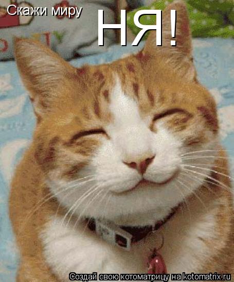 Скажи миру НЯ!... Котоматрица: Скажи миру НЯ!