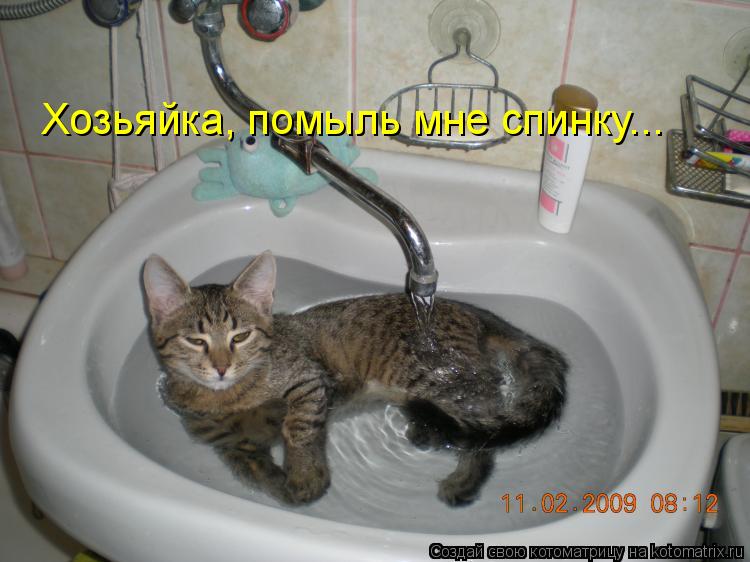 Хозьяйка, помыль мне спинку...... Котоматрица: Хозьяйка, помыль мне спинку...
