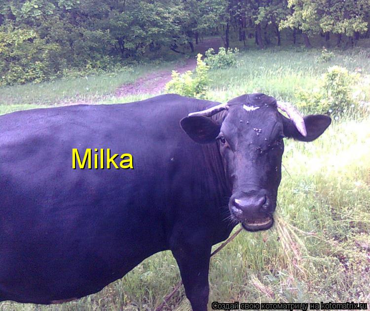 Milka... Котоматрица: Milka