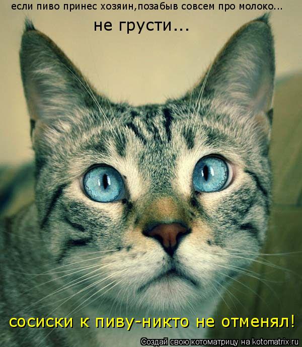 если пиво принес хозяин,позабыв совсем про молоко... не грусти... сосиски к пиву-никто не отменял!... Котоматрица: если пиво принес хозяин,позабыв совсем про молоко... не грусти... сосиски к пиву-никто не отменял!