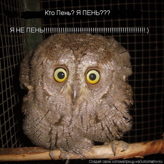 Я НЕ ПЕНЬ!!!!!!!!!!!!!!!!!!!!!!!!!!!!!!!!!!!!!!!!!!!!!!!!!!!!!!:) Кто Пень? Я ПЕНЬ???... Котоматрица: Я НЕ ПЕНЬ!!!!!!!!!!!!!!!!!!!!!!!!!!!!!!!!!!!!!!!!!!!!!!!!!!!!!!:) Кто Пень? Я ПЕНЬ???
