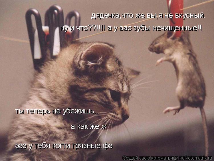 ты теперь не убежишь.. дядечка,что же вы,я не вкусный. а как же ж эээ.у тебя когти грязные.фэ ну и чт... Котоматрица: ты теперь не убежишь.. дядечка,что же вы,я не вкусный. а как же ж эээ.у тебя когти грязные.фэ ну и что??!!!! а у вас зубы нечищенные!!