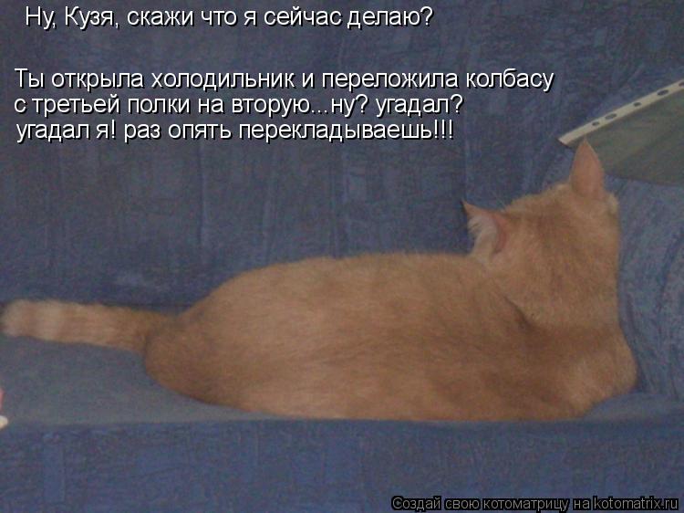 Ну, Кузя, скажи что я сейчас делаю? Ты открыла холодильник и переложила колбасу с третьей полки на в... Котоматрица: Ну, Кузя, скажи что я сейчас делаю? Ты открыла холодильник и переложила колбасу с третьей полки на вторую...ну? угадал? угадал я! раз опять пер