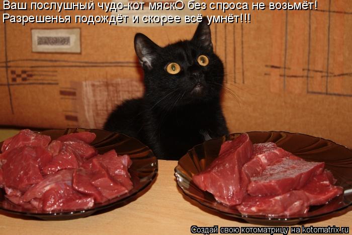 Ваш послушный чудо-кот мяскО без спроса не возьмёт! Разрешенья подождёт и скорее всё умнёт!!!... Котоматрица: Ваш послушный чудо-кот мяскО без спроса не возьмёт! Разрешенья подождёт и скорее всё умнёт!!!