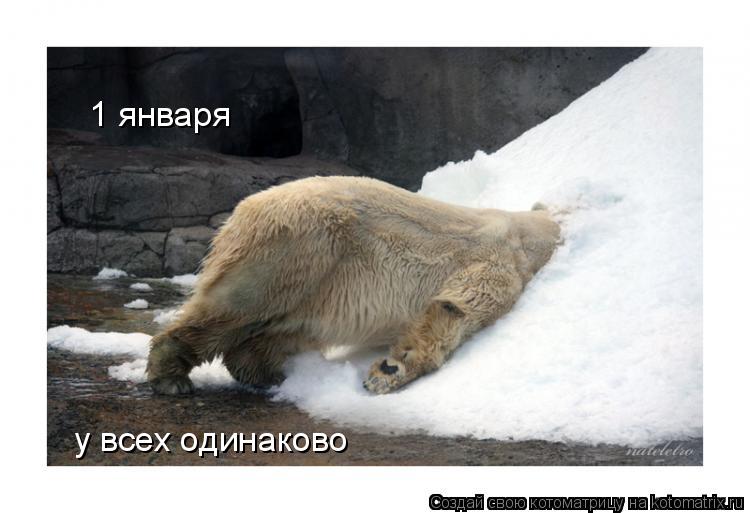 1 января у всех одинаково... Котоматрица: 1 января у всех одинаково