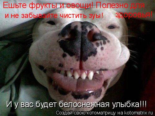 Ешьте фрукты и овощи! Полезно для здоровья! и не забывайте чистить зуы! И у вас будет белоснежная ул... Котоматрица: Ешьте фрукты и овощи! Полезно для здоровья! и не забывайте чистить зуы! И у вас будет белоснежная улыбка!!!