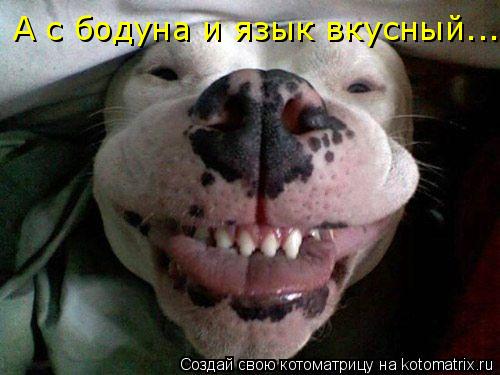 А с бодуна и язык вкусный...... Котоматрица: А с бодуна и язык вкусный...