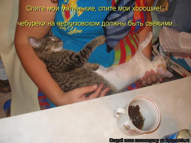 Спите мои маленькие, спите мои хорошие! чебуреки на черкизовском должны быть свежими...... Котоматрица: Спите мои маленькие, спите мои хорошие! чебуреки на черкизовском должны быть свежими...