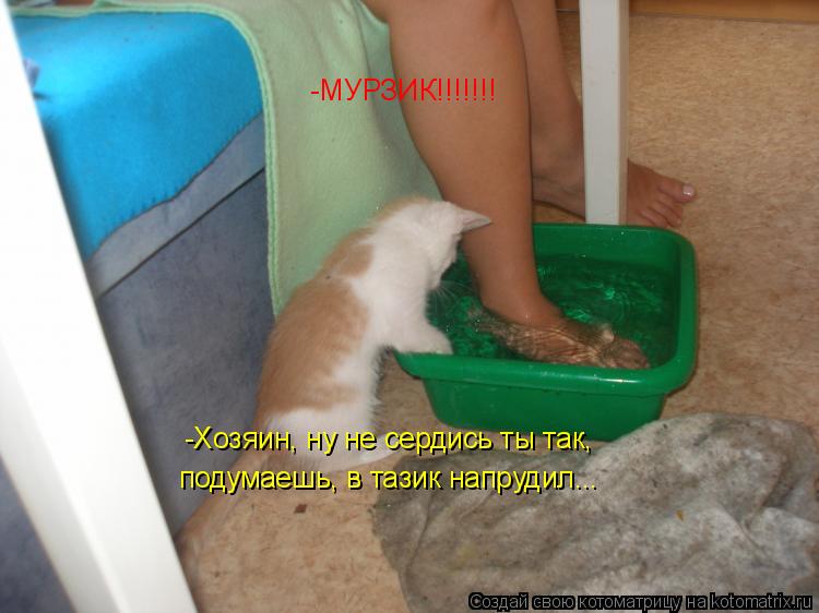 -МУРЗИК!!!!!!! -Хозяин, ну не сердись ты так, подумаешь, в тазик напрудил...... Котоматрица: -МУРЗИК!!!!!!! -Хозяин, ну не сердись ты так, подумаешь, в тазик напрудил...