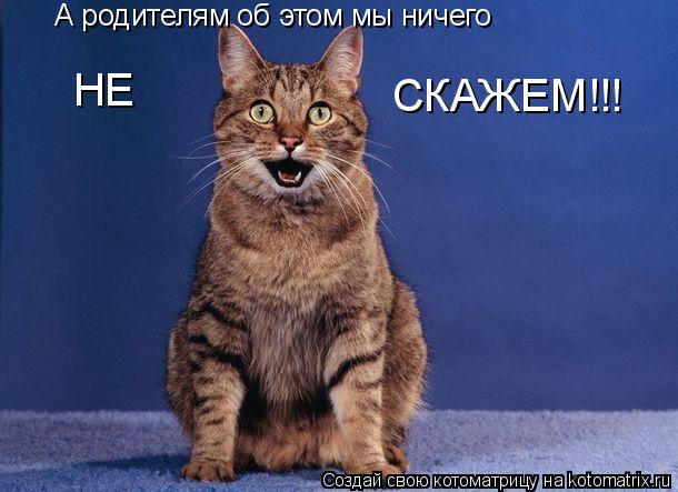 А родителям об этом мы ничего НЕ СКАЖЕМ!!!... Котоматрица: А родителям об этом мы ничего НЕ СКАЖЕМ!!!