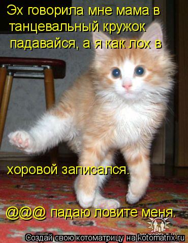Эх говорила мне мама в танцевальный кружок падавайся, а я как лох в хоровой записался. @@@ падаю лови... Котоматрица: Эх говорила мне мама в танцевальный кружок падавайся, а я как лох в хоровой записался. @@@ падаю ловите меня.