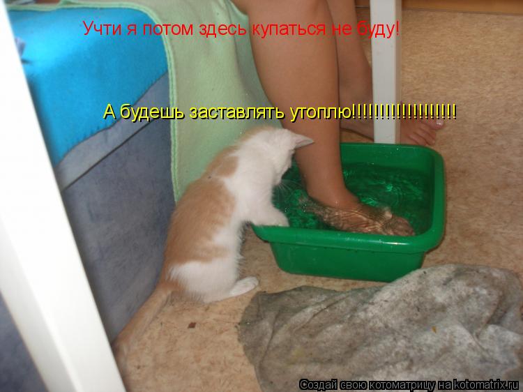 Учти я потом здесь купаться не буду! А будешь заставлять утоплю!!!!!!!!!!!!!!!!!!!... Котоматрица: Учти я потом здесь купаться не буду! А будешь заставлять утоплю!!!!!!!!!!!!!!!!!!!