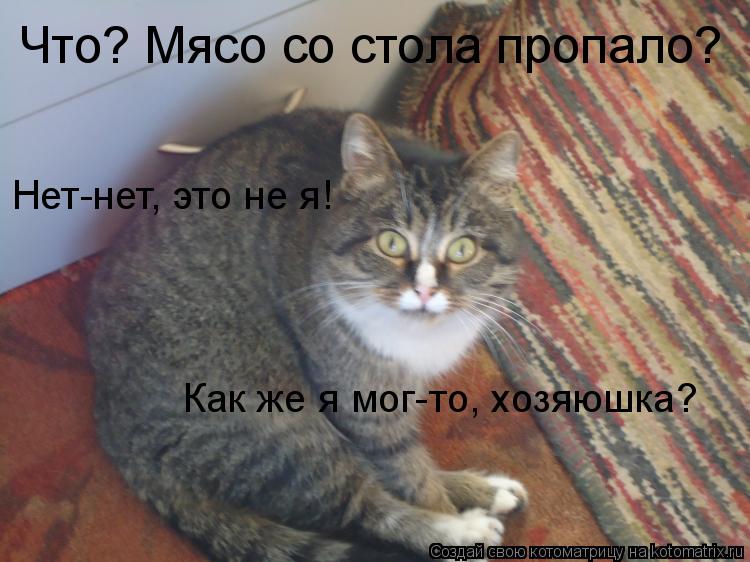 Что? Мясо со стола пропало? Нет-нет, это не я! Как же я мог-то, хозяюшка?... Котоматрица: Что? Мясо со стола пропало? Нет-нет, это не я! Как же я мог-то, хозяюшка?