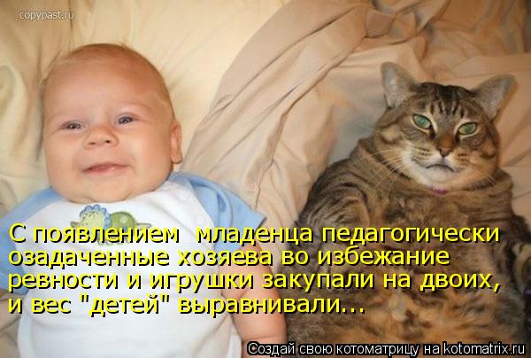 С появлением младенца педагогически озадаченные хозяева во избежание ревности и игрушки закупали на... Котоматрица: С появлением младенца педагогически озадаченные хозяева во избежание ревности и игрушки закупали на двоих, и вес "детей" выравнивали...
