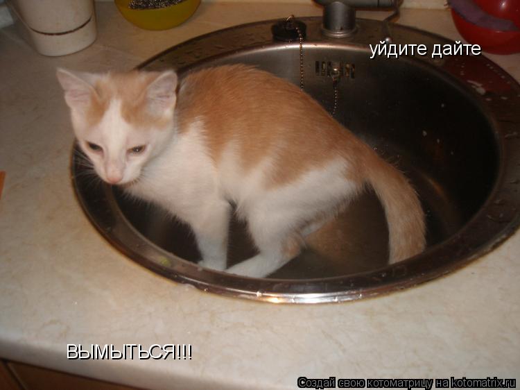 ВЫМЫТЬСЯ!!! уйдите дайте... Котоматрица: ВЫМЫТЬСЯ!!! уйдите дайте