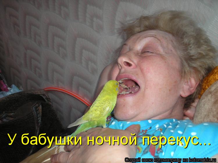 У бабушки ночной перекус...... Котоматрица: У бабушки ночной перекус...