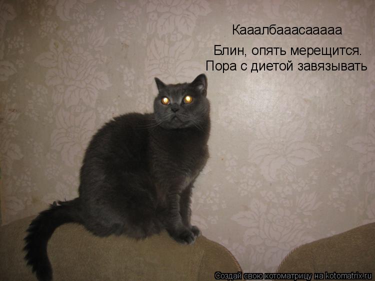 Кааалбааасааааа Блин, опять мерещится. Пора с диетой завязывать... Котоматрица: Кааалбааасааааа Блин, опять мерещится. Пора с диетой завязывать