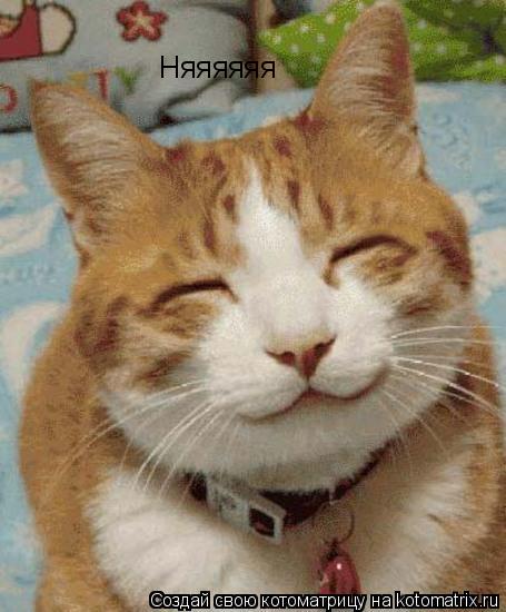 Няяяяяя... Котоматрица: Няяяяяя