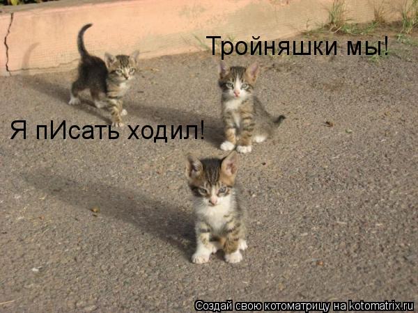 Тройняшки мы! Я пИсать ходил!... Котоматрица: Тройняшки мы! Я пИсать ходил!