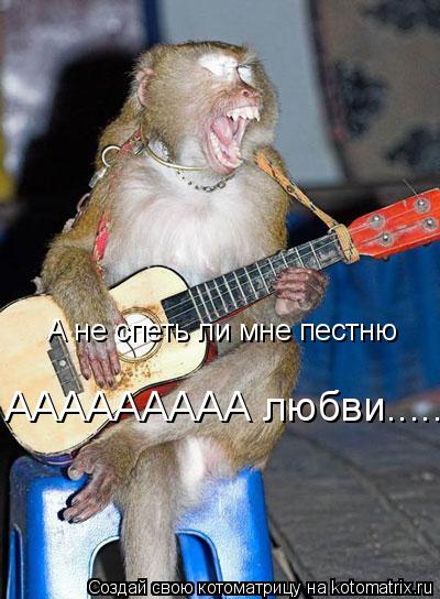 А не спеть ли мне пестню ААААААААА любви........ Котоматрица: А не спеть ли мне пестню ААААААААА любви.....