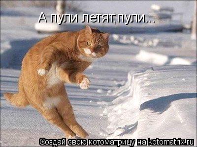 А пули летят,пули...... Котоматрица: А пули летят,пули...