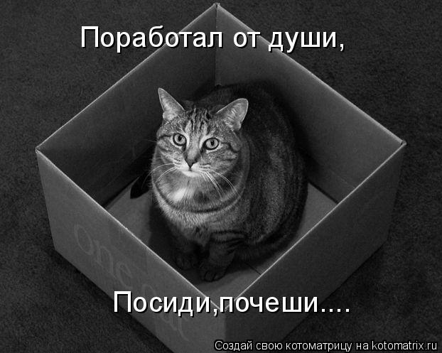 Поработал от души, Посиди,почеши....... Котоматрица: Поработал от души, Посиди,почеши....