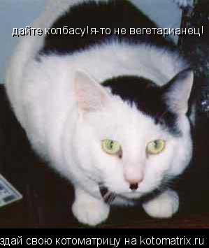 дайте колбасу!я-то не вегетарианец!... Котоматрица: дайте колбасу!я-то не вегетарианец!