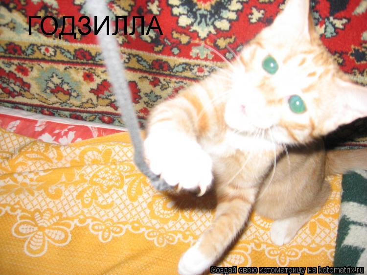 ГОДЗИЛЛА... Котоматрица: ГОДЗИЛЛА