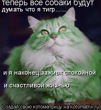 теперь все собаки будут думать что я тигр...... и я наконец заживк спокойной и счастливой жизнью... Котоматрица: теперь все собаки будут думать что я тигр...... и я наконец заживк спокойной и счастливой жизнью