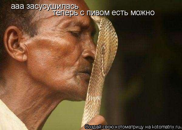 ааа засусушилась теперь с пивом есть можно... Котоматрица: ааа засусушилась теперь с пивом есть можно