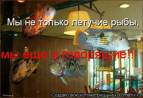 Мы не только летучие рыбы, мы еще и говорящие!!!... Котоматрица: Мы не только летучие рыбы, мы еще и говорящие!!!