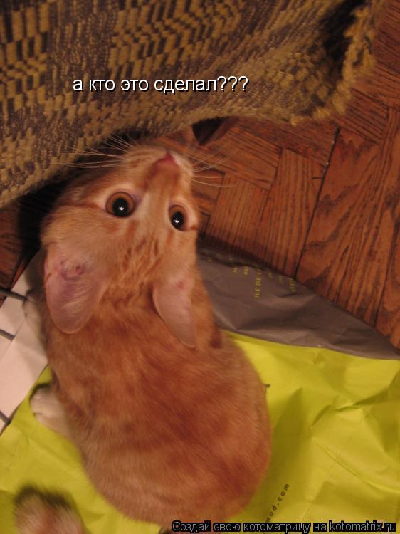 а кто это сделал???... Котоматрица: а кто это сделал???