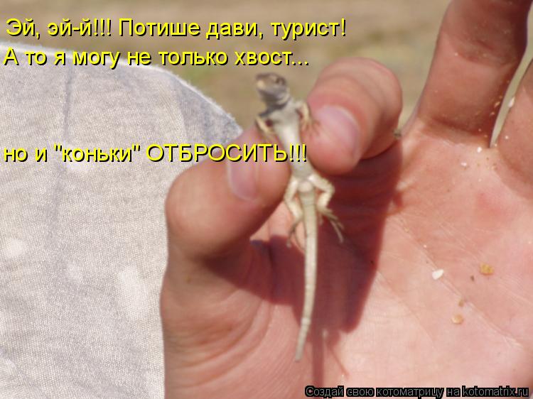 Эй, эй-й!!! Потише дави, турист! А то я могу не только хвост... но и "коньки" ОТБРОСИТЬ!!!... Котоматрица: Эй, эй-й!!! Потише дави, турист! А то я могу не только хвост... но и "коньки" ОТБРОСИТЬ!!!