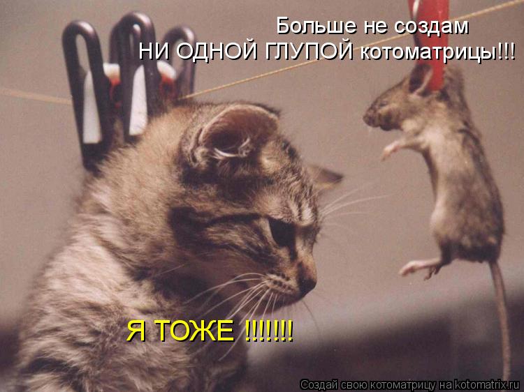 Больше не создам НИ ОДНОЙ ГЛУПОЙ котоматрицы!!! Я ТОЖЕ !!!!!!!... Котоматрица: Больше не создам НИ ОДНОЙ ГЛУПОЙ котоматрицы!!! Я ТОЖЕ !!!!!!!