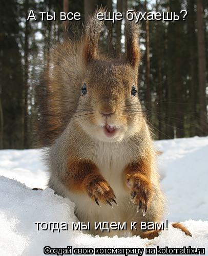 А ты все еще бухаешь? тогда мы идем к вам!... Котоматрица: А ты все еще бухаешь? тогда мы идем к вам!