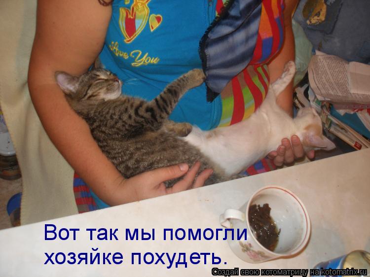 Вот так мы помогли хозяйке похудеть.... Котоматрица: Вот так мы помогли хозяйке похудеть.