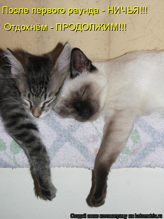 После первого раунда - НИЧЬЯ!!! Отдохнём - ПРОДОЛЖИМ!!!... Котоматрица: После первого раунда - НИЧЬЯ!!! Отдохнём - ПРОДОЛЖИМ!!!