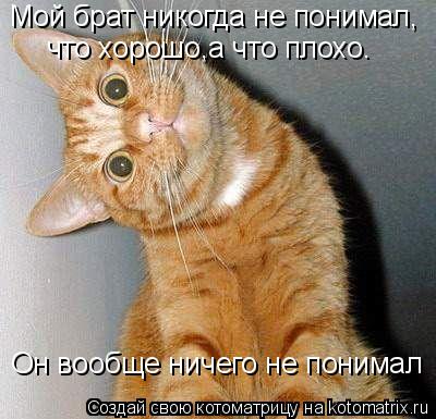 Мой брат никогда не понимал, что хорошо,а что плохо. Он вообще ничего не понимал... Котоматрица: Мой брат никогда не понимал, что хорошо,а что плохо. Он вообще ничего не понимал