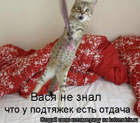 что у подтяжек есть отдача Вася не знал... Котоматрица: что у подтяжек есть отдача Вася не знал
