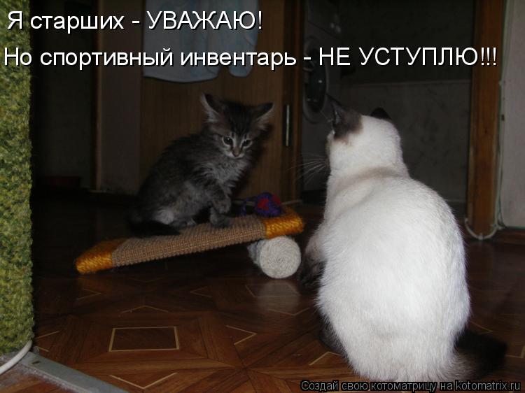 Я старших - УВАЖАЮ! Но спортивный инвентарь - НЕ УСТУПЛЮ!!!... Котоматрица: Я старших - УВАЖАЮ! Но спортивный инвентарь - НЕ УСТУПЛЮ!!!
