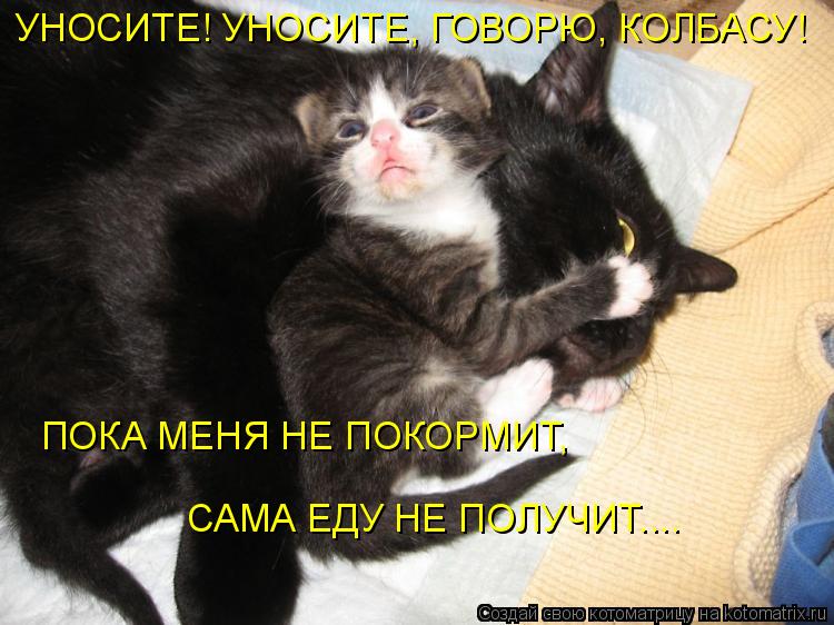 УНОСИТЕ! УНОСИТЕ, ГОВОРЮ, КОЛБАСУ! ПОКА МЕНЯ НЕ ПОКОРМИТ, САМА ЕДУ НЕ ПОЛУЧИТ....... Котоматрица: УНОСИТЕ! УНОСИТЕ, ГОВОРЮ, КОЛБАСУ! ПОКА МЕНЯ НЕ ПОКОРМИТ, САМА ЕДУ НЕ ПОЛУЧИТ....