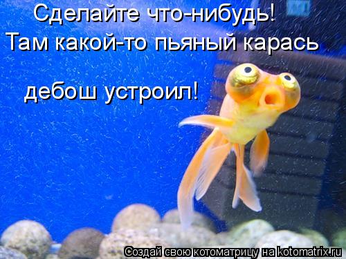 Там какой-то пьяный карась дебош устроил! Сделайте что-нибудь!... Котоматрица: Там какой-то пьяный карась дебош устроил! Сделайте что-нибудь!