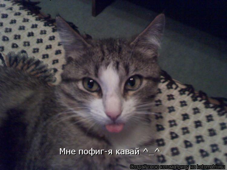 Мне пофиг-я кавай ^_^ Мне пофиг-я кавай ^_^... Котоматрица: Мне пофиг-я кавай ^_^ Мне пофиг-я кавай ^_^