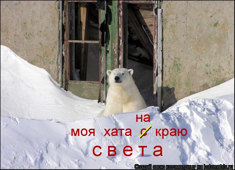 моя хата с краю на __ с в е т а... Котоматрица: моя хата с краю на __ с в е т а