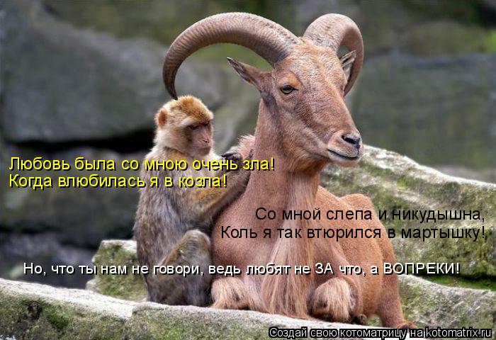 Любовь была со мною очень зла! Когда влюбилась я в козла! Со мной слепа и никудышна, Коль я так втюри... Котоматрица: Любовь была со мною очень зла! Когда влюбилась я в козла! Со мной слепа и никудышна, Коль я так втюрился в мартышку! Но, что ты нам не говори, в