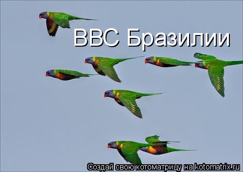 ВВС Бразилии... Котоматрица: ВВС Бразилии