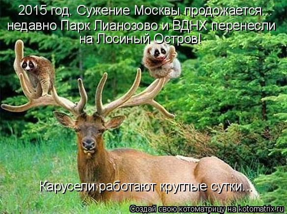 2015 год. Сужение Москвы продожается... недавно Парк Лианозово и ВДНХ перенесли на Лосиный Остров! Ка... Котоматрица: 2015 год. Сужение Москвы продожается... недавно Парк Лианозово и ВДНХ перенесли на Лосиный Остров! Карусели работают круглые сутки...